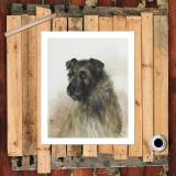 HD Canvas Print Home Decor Paintings Wall Art Pictures-SR120342
