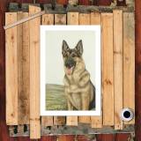 HD Canvas Print Home Decor Paintings Wall Art Pictures-SR120331