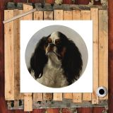 HD Canvas Print Home Decor Paintings Wall Art Pictures-SR120326