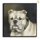 HD Canvas Print Home Decor Paintings Wall Art Pictures-SR120319