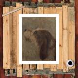 HD Canvas Print Home Decor Paintings Wall Art Pictures-SR120357
