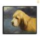 HD Canvas Print Home Decor Paintings Wall Art Pictures-SR120379