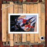 HD Canvas Print Home Decor Paintings Wall Art Pictures-SR100103