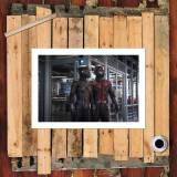 HD Canvas Print Home Decor Paintings Wall Art Pictures-SR103873