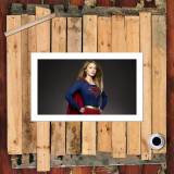 HD Canvas Print Home Decor Paintings Wall Art Pictures-SR109330