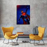HD Canvas Print Home Decor Paintings Wall Art Pictures-SR-A1487
