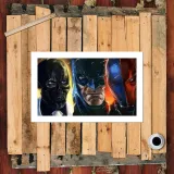 HD Canvas Print Home Decor Paintings Wall Art Pictures-SR-A5007