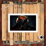 HD Canvas Print Home Decor Paintings Wall Art Pictures-SR-H2035