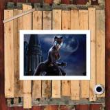 HD Canvas Print Home Decor Paintings Wall Art Pictures-SR-A3609
