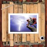 HD Canvas Print Home Decor Paintings Wall Art Pictures-SR-10566