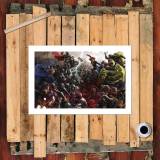 HD Canvas Print Home Decor Paintings Wall Art Pictures-SR101393
