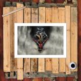 HD Canvas Print Home Decor Paintings Wall Art Pictures-SR102114