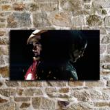 HD Canvas Print Home Decor Paintings Wall Art Pictures-SR101471