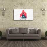 HD Canvas Print Home Decor Paintings Wall Art Pictures-SR104426