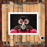 HD Canvas Print Home Decor Paintings Wall Art Pictures-SR105849