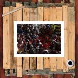 HD Canvas Print Home Decor Paintings Wall Art Pictures-SR-A3549