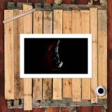 HD Canvas Print Home Decor Paintings Wall Art Pictures-SR103586