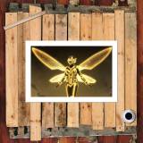 HD Canvas Print Home Decor Paintings Wall Art Pictures-SR109115