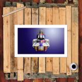 HD Canvas Print Home Decor Paintings Wall Art Pictures-SR105528