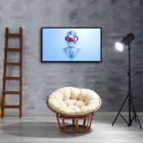 HD Canvas Print Home Decor Paintings Wall Art Pictures-SR105535