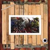 HD Canvas Print Home Decor Paintings Wall Art Pictures-SR-H2086