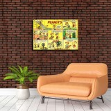 Charles Monroe Schulz Works HD Canvas Print Home Decor Paintings Wall Art Pictures CS0014