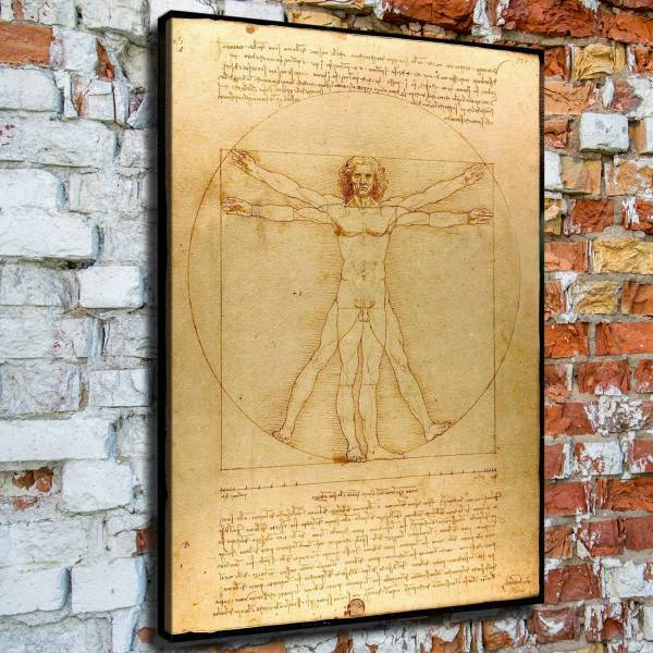 Vitruve Luc Viatour HD Canvas Print Home Decor Paintings Wall Art Pictures