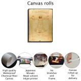 Vitruve Luc Viatour HD Canvas Print Home Decor Paintings Wall Art Pictures