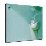 Art HD Canvas Print Home Decor Paintings Wall Art Pictures