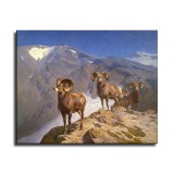 Art HD Canvas Print Home Decor Paintings Wall Art Pictures