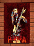 Guitarist HD Canvas Print Home Decor Paintings Wall Art Pictures