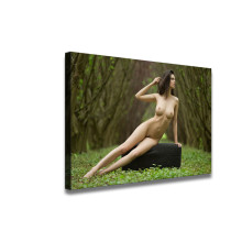 Sexy women HD Canvas Print Home Decor Paintings Wall Art Pictures