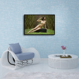 Sexy women HD Canvas Print Home Decor Paintings Wall Art Pictures