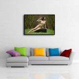 Sexy women HD Canvas Print Home Decor Paintings Wall Art Pictures