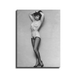 Bettie Page Nude HD Canvas Print Home Decor Paintings Wall Art Pictures