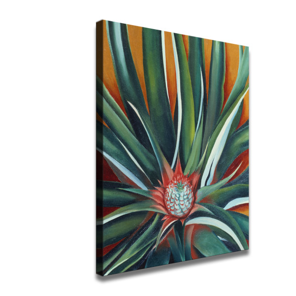 “Georgia O’Keeffe: Visions of Hawaii” HD Canvas Print Home Decor Paintings Wall Art Pictures