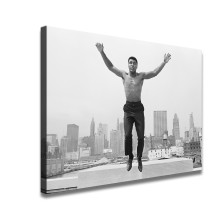 THOMAS HOEPKER Art HD Canvas Print Home Decor Paintings Wall Art Pictures