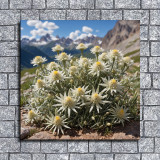 Art HD Canvas Print Home Decor Paintings Wall Art Pictures