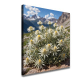 Art HD Canvas Print Home Decor Paintings Wall Art Pictures