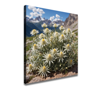 Art HD Canvas Print Home Decor Paintings Wall Art Pictures