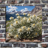 Art HD Canvas Print Home Decor Paintings Wall Art Pictures