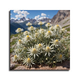 Art HD Canvas Print Home Decor Paintings Wall Art Pictures