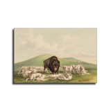 Art HD Canvas Print Home Decor Paintings Wall Art Pictures