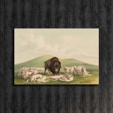 Art HD Canvas Print Home Decor Paintings Wall Art Pictures