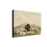 Art HD Canvas Print Home Decor Paintings Wall Art Pictures