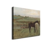 Horse in a Meadow HD Canvas Print Home Decor Paintings Wall Art Pictures