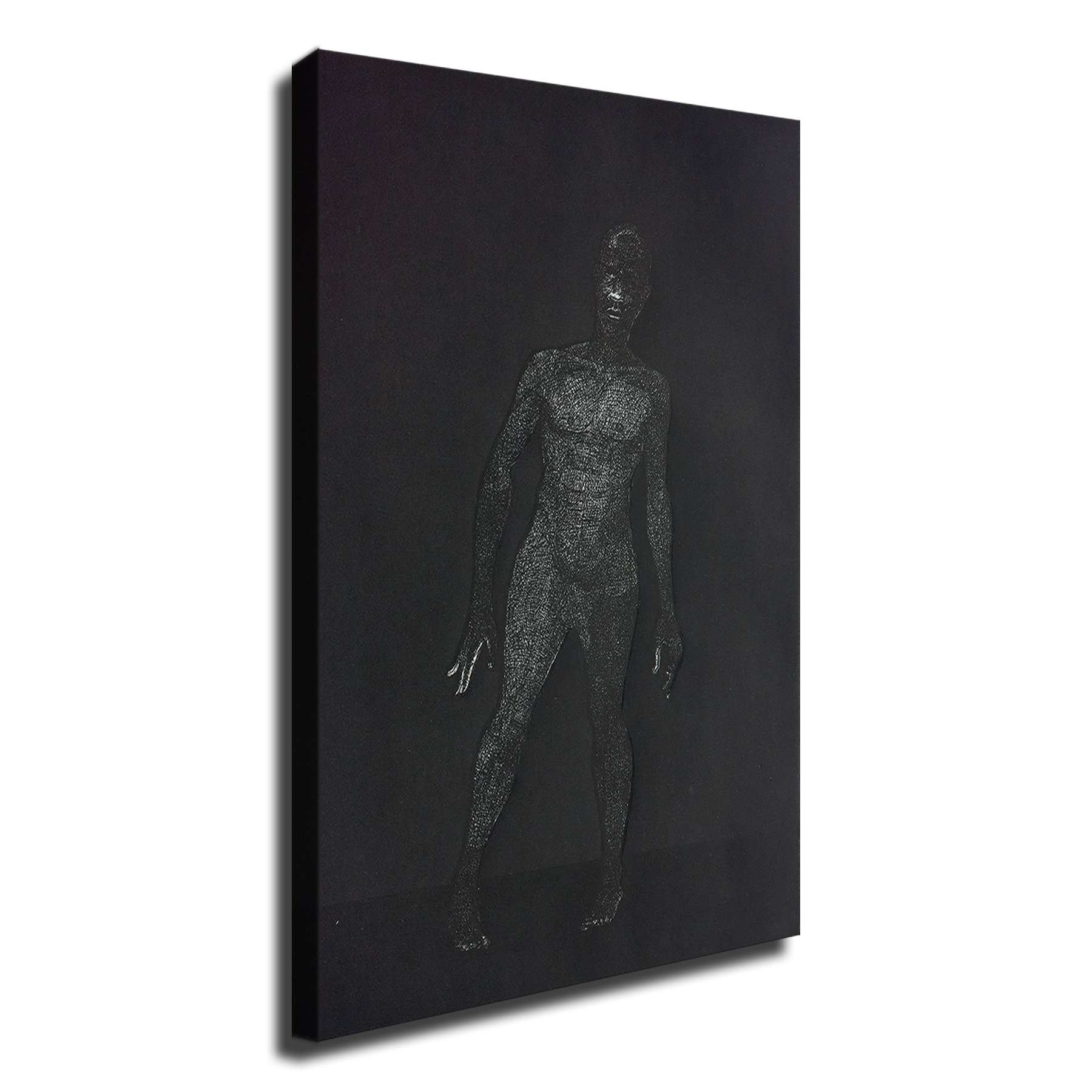 Frankenstein Art HD Canvas Print Home Decor Paintings Wall Art Pictures