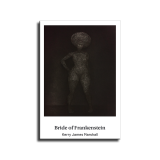 Frankenstein Art HD Canvas Print Home Decor Paintings Wall Art Pictures