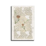 Garden Tulip (1885) Art HD Canvas Print Home Decor Paintings Wall Art Pictures