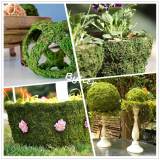 Dried Moss Mat -Peel & Stick, Wedding Birthday Party Fairy Garden Decorations, (14  X 9 Inch )